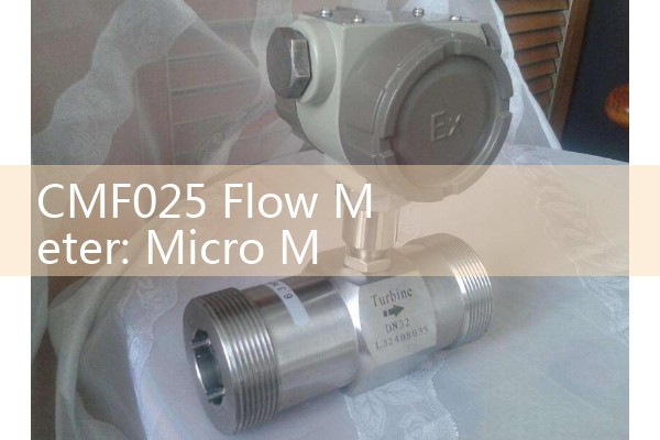 Water flow meter reading